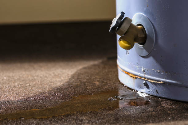 Best Emergency water damage restoration  in Westgate, FL
