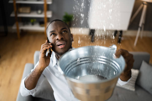 Best Flood damage cleanup  in Westgate, FL