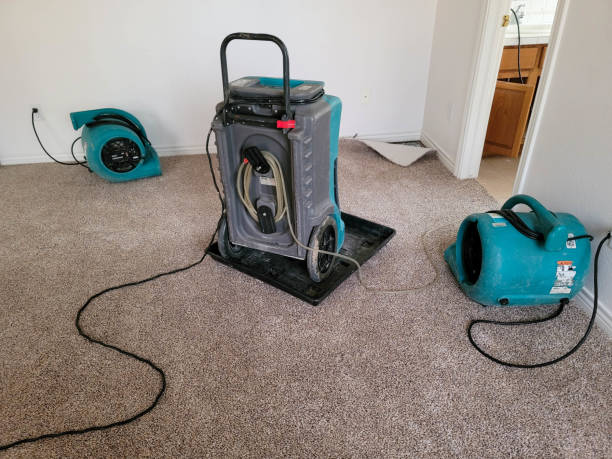 Best Water damage restoration insurance claims  in Westgate, FL