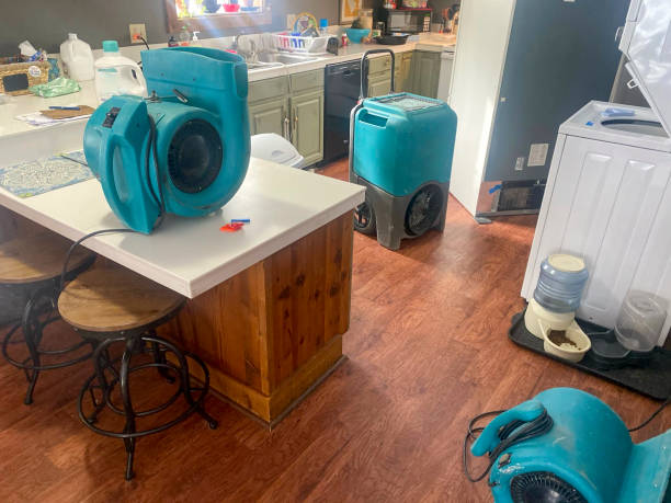 Best Sewage cleanup and water damage restoration  in Westgate, FL