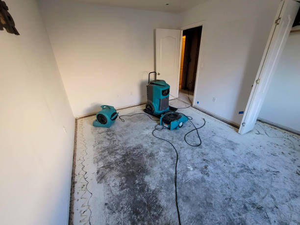 Best Mold removal after water damage  in Westgate, FL