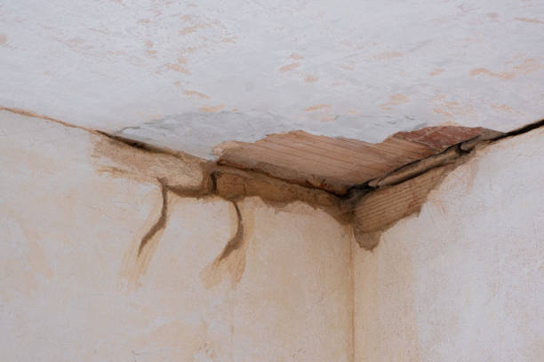 Best 24/7 water damage repair  in Westgate, FL