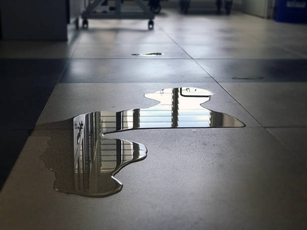 Best Water damage restoration services  in Westgate, FL