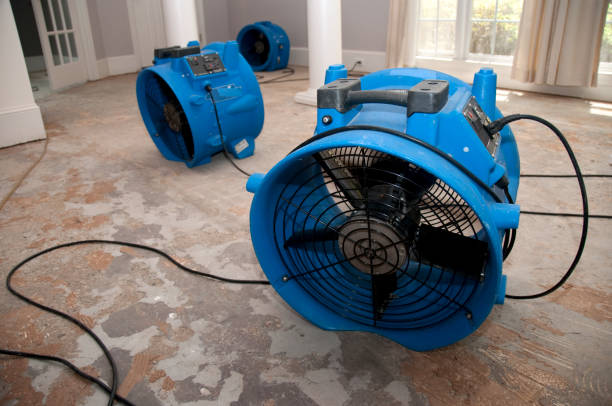 Best 24-hour water damage restoration  in Westgate, FL
