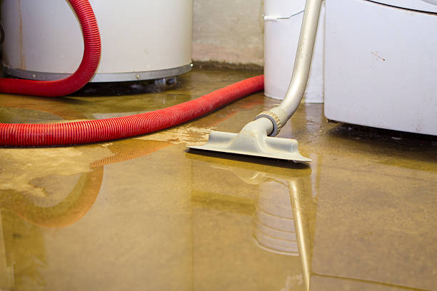 Best Flooded house restoration  in Westgate, FL