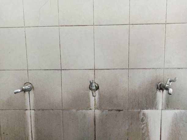 Best Residential water damage restoration  in Westgate, FL