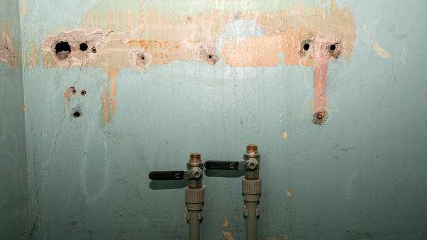 Best Ceiling water damage repair  in Westgate, FL