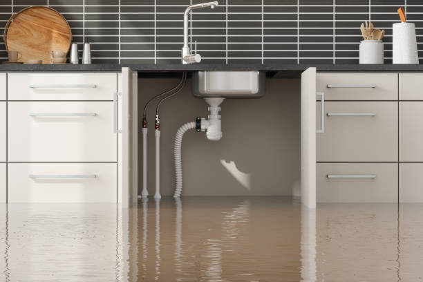 Best Professional water damage repair  in Westgate, FL