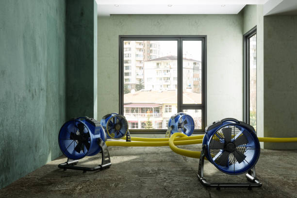 Best Basement water damage restoration  in Westgate, FL